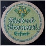 braugo (12).jpg